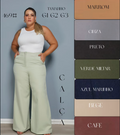Calça Pantalona Zara Plus Size Alfaiataria Premium FF-CAL-006-CSS-469 *Pacote: R$ 55 *Atacado: R$ 65
